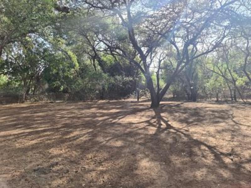 Nthakeni Bush & River Camp Pafuri Gate Ngoại thất bức ảnh