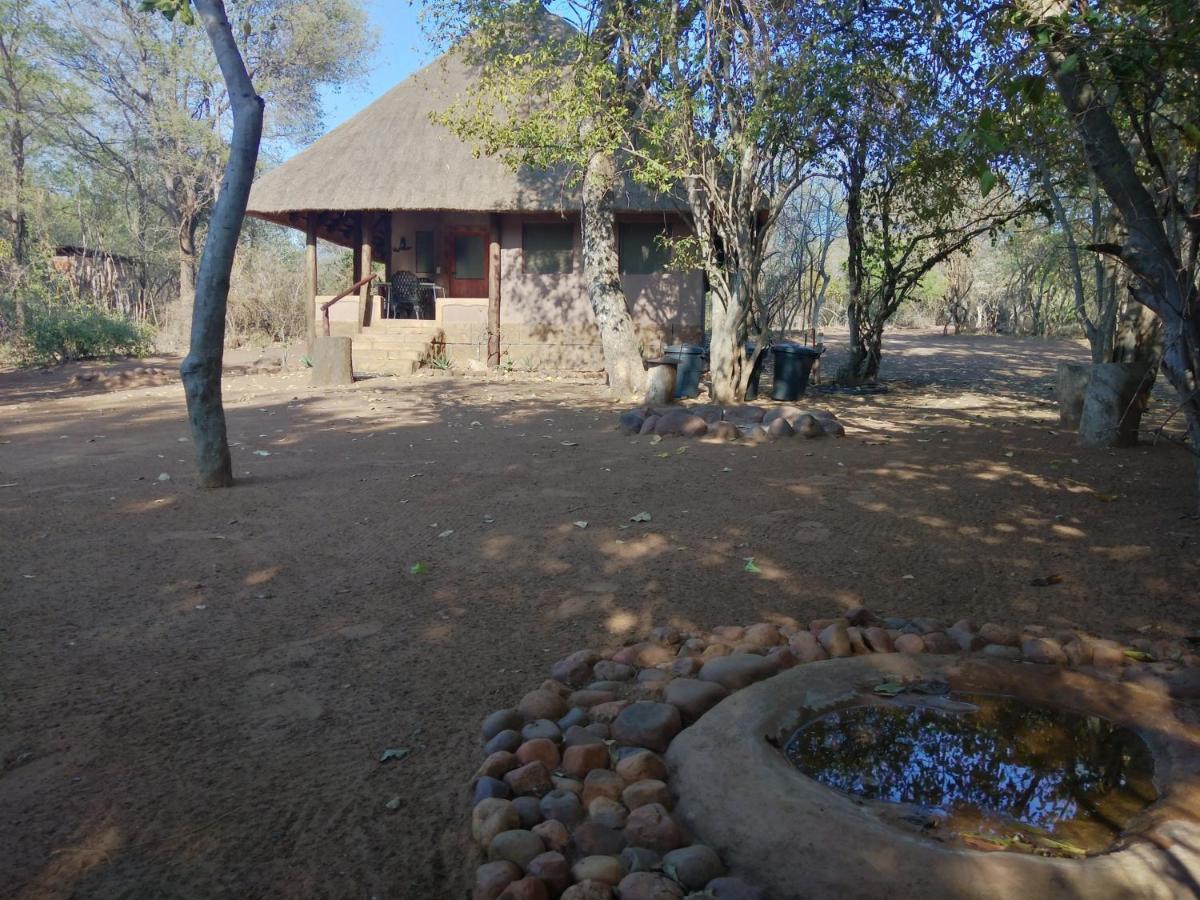 Nthakeni Bush & River Camp Pafuri Gate Ngoại thất bức ảnh